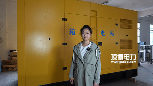 400KW静音箱式东风康明斯广西顶博发电机组制造